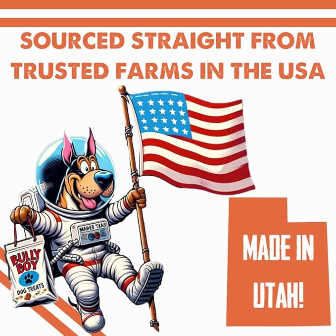 Bully Boy's Famous Chicken Training Nibs Dog Treats | Free from Wheat, Corn, Soy, or Gluten | USA Sourced Ingredients | with Smokehouse Chicken | Made in Utah | 7 oz - 1 Pack