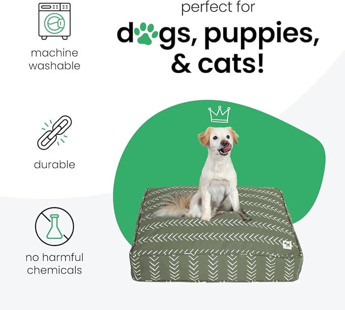 Molly Mutt Small Dog Bed Cover - Forever Young Print - Measures 22”X27”X5’’ - 100% Cotton - Durable - Breathable - Sustainable - Machine Washable Dog Bed Cover (Dd82a)