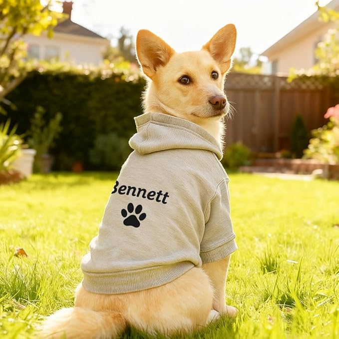 Personalized Name Dog Hoodie, Embroidered Hoodies Pet Name, Custom Puppy Sweater Warm Winter Outfit for Dogs, Bright Puppy Sweatshirt, Unique Pet Birthday Outfit, Gift for Dog Lovers