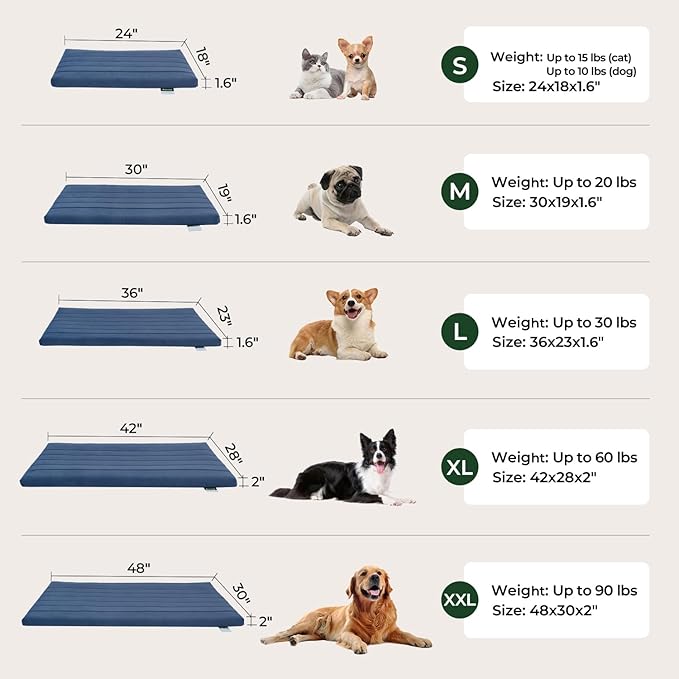BALANCE Dog Crate Bed, Orthopedic Dog Bed Pad with Waterproof Liner, Washable Crate Foam Pet Mat for Large, Medium, Puppy Dogs Breeds, Mint Leaf, 42"x28"x2"