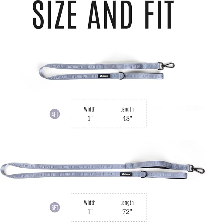 2025 New Edition, Fei & Eve Classic Dog Leash - 6FT, Dual Padded Handles, 360° Swivel Hook, Heavy Duty 210D Nylon - No-Pull Design with Traffic Control Handle - for Small/Medium/Large Dogs, Gray