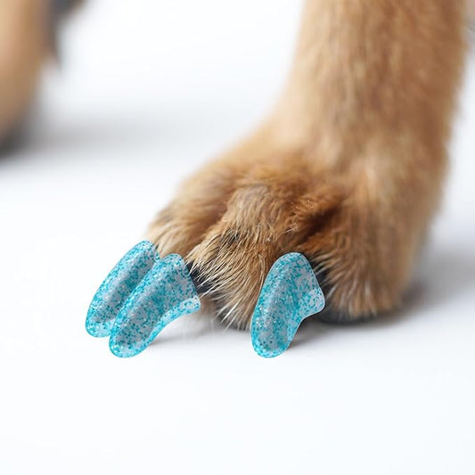 100pcs Dog Nail Caps Claw capsCover with Glue and Applicators (XXL About. Weight: 60-140 pounds)