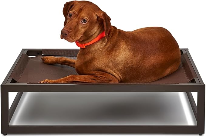 FUZI Luxury Up Pup Elevated Dog Bed, Premium Indoor & Outdoor Raised Pet Bed, Chew-Proof & Durable, Breathable Design for Comfort & Support, Dog Cot Medium 32x24x8 Dark Brown