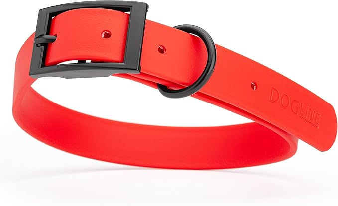 Dogline Biothane Coated Webbing Dog Collar with Black Metal Hardware: Durable Easy-Clean Everyday Collar for Dogs - Comfortable Adjustable Odor-Resistant Pet Collar, W1 x L22-25", Cherry Red