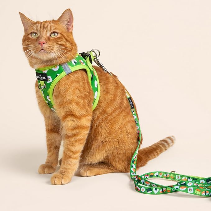 Lucy & Co. How I Roll Step-in Cat Harness & Leash Bundle – Reflective, Breathable & Adjustable Harness for Cats, Kittens & Small Dogs, Lightweight & Secure and Dual Leash Clips – Medium