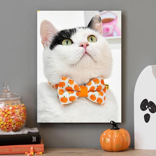 Pumpkin Cat Collar Bow Set, Halloween Accessory, Wedding/Birthday Breakaway Collar Bowtie for Kitten