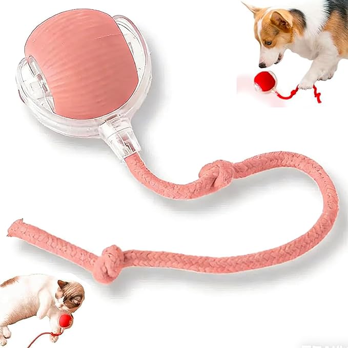 Zarutor Interactive Rolling Ball, 360° Smart Automatic Rolling Electric Dog Ball, Chase Mate Cat Toy, Durable and Safe, Fast Rolling Toy for Dogs and Cats (Pink)