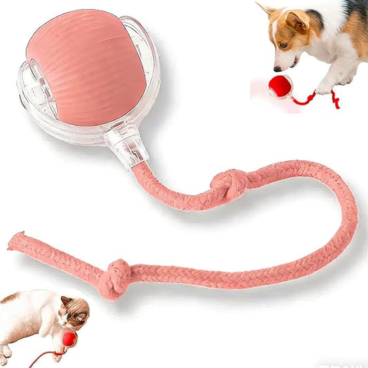 Zarutor Interactive Rolling Ball, 360° Smart Automatic Rolling Electric Dog Ball, Chase Mate Cat Toy, Durable and Safe, Fast Rolling Toy for Dogs and Cats (Pink)