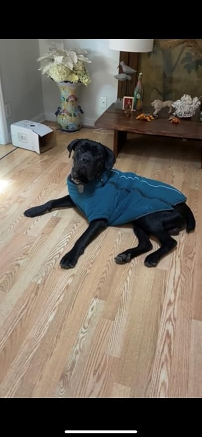BoxDog Polar Fleece Warm Dog Jacket (Large)