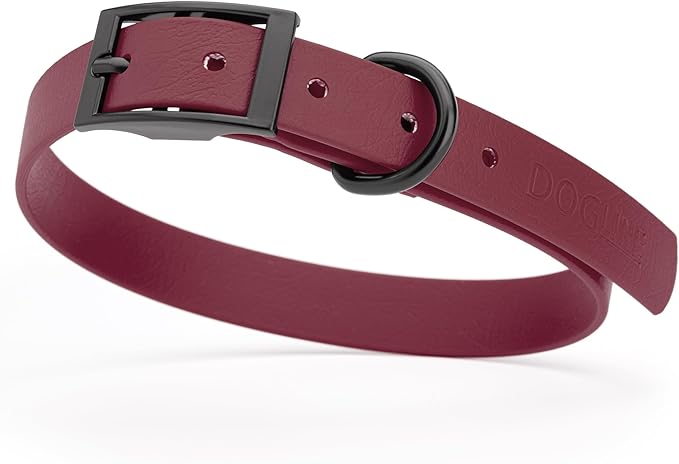 Dogline Biothane Coated Webbing Dog Collar with Black Metal Hardware: Durable Easy-Clean Everyday Collar for Dogs - Comfortable Adjustable Odor-Resistant Pet Collar, W3/4" x L15-18, Merlot Burgundy