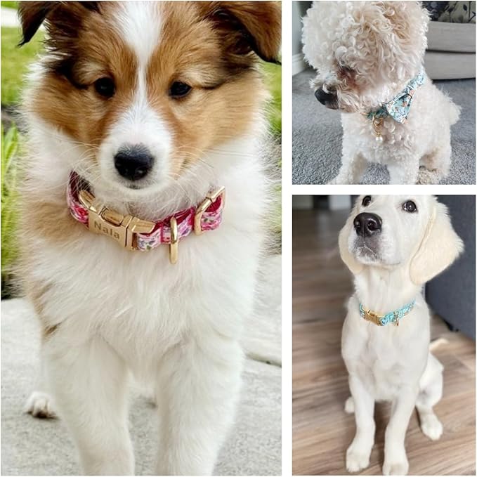 Custom Engraved Dog Collar with Name and Phone Number, Personalized for Small, Medium, and Large Dogs (Floral)