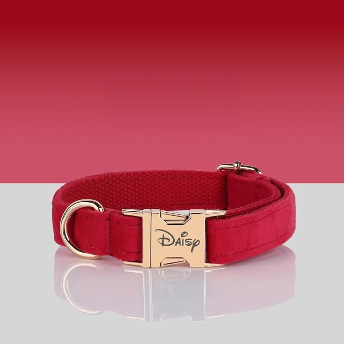 Velvet Harness Set, Gift for Pet Owners, Custom Dog Collar Personalized with Name and Phone Number, Custom Collar and Leash for Dogs, Engraved Metal Buckle Collar (X-Small)