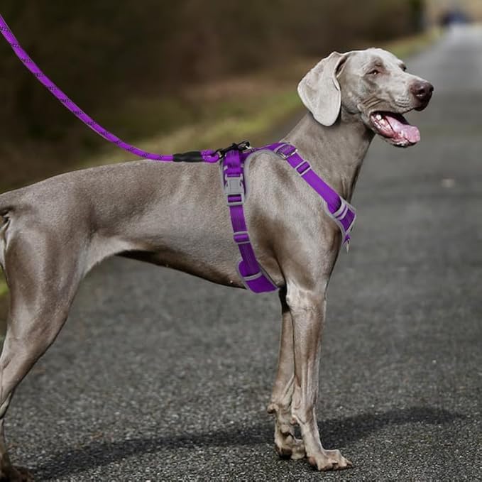 Adjustable Dog Harness - No Pull, Reflective, Soft Padded for Small, Medium, Large Dogs - Includes Leash Purple XL