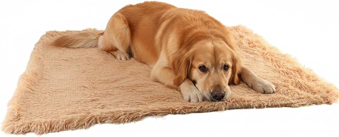 Pets Bed Blanket Dogs Reversible Soft Dog Throw Blankets Cats Mat Sleeper Fuzzy Pet Couch Covers Washable Cat Puppy Cover for Beds Car Sofa Travel Double Sided Furniture Protection (Champagne,L)