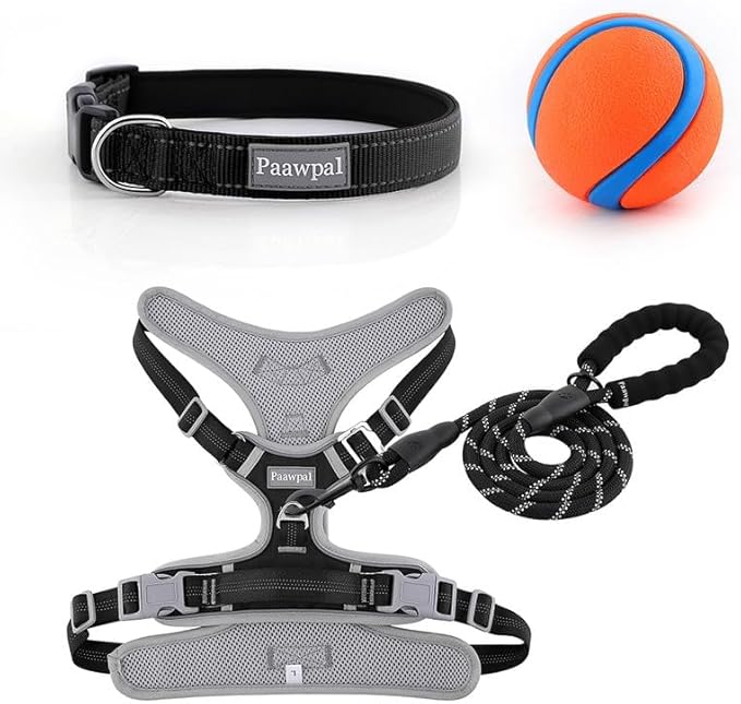 Adjustable Dog Harness - No Pull, Reflective, Soft Padded for Small, Medium, Large Dogs - Includes Leash and Collar Black XL