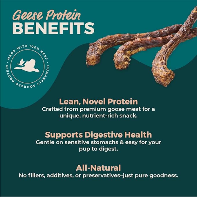 BULLY STICKS DIRECT Natural Goose (Geese) Necks for Dogs, Premium Protein-Rich Dog Chews, All Natural Dental Treats, Single Ingredient, 12 Pack