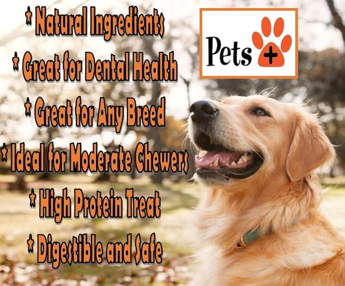 Pets Plus Premium Dog Treats – Beef Jerky Springs, 3 Pack | All-Natural, High-Protein Chews for Dogs, Long-Lasting Treats for Training, Rewards & Dental Health