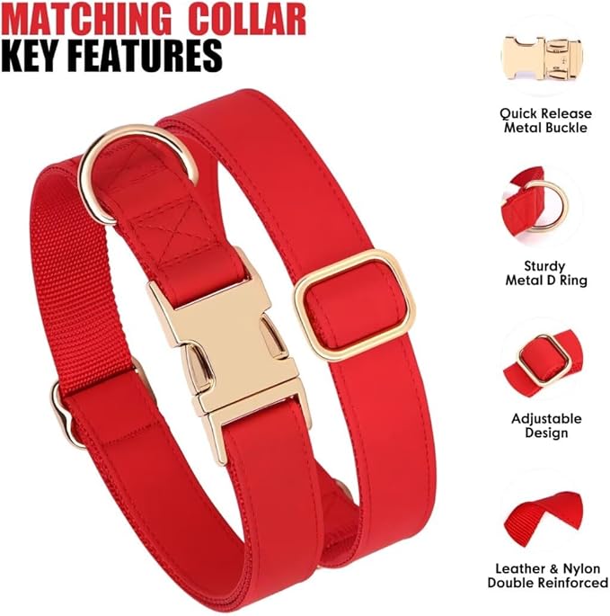 PET ARTIST Soft PU Leather Dog Collar and Leash Set, Bright & Stylish 5FT PU Leather Leash and Collar Set, Durable Pet Collars with Quick Release Metal Buckle for Medium Dogs,Red,M(13-19")