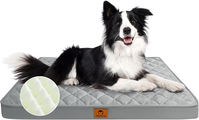 Orthopedic Dog Bed for Medium and Large Sized Dogs - Egg Crate Foam Pet Bed, Machine Washable & Waterproof & Non-Slip Bottom, Ideal Dog Beds for Crate and Indoor Use, 35x22 Inch, Light Grey