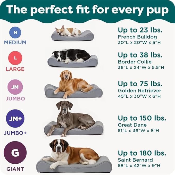 FurHaven Orthopedic Dog Bed for X-Large Dogs, Luxe Lounger Contour Mattress with Medical-Grade Solid Orthopedic Foam for Joint Support, Removable Washable Cover, Jumbo/XL, Plush Suede, Cream