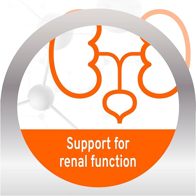 Forza10 - Cat Food, Vet-Formulated Renal Wet, Non GMO, Kidney Care Food with Lamb Flavor, Crafted for Adults, Made in Italy (3.5 oz, 12 Pack)