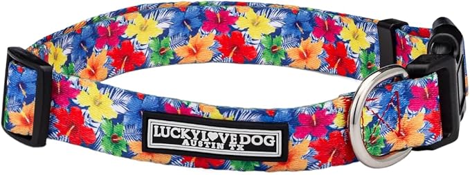 Lucky Love Dog - Adjustable Dog Collar with Easy Click Buckle for Small to Large Ones, Durable, & Comfortable for Male & Female Dogs, Pet Collar for Puppies & Adult Dogs - Hana, Large