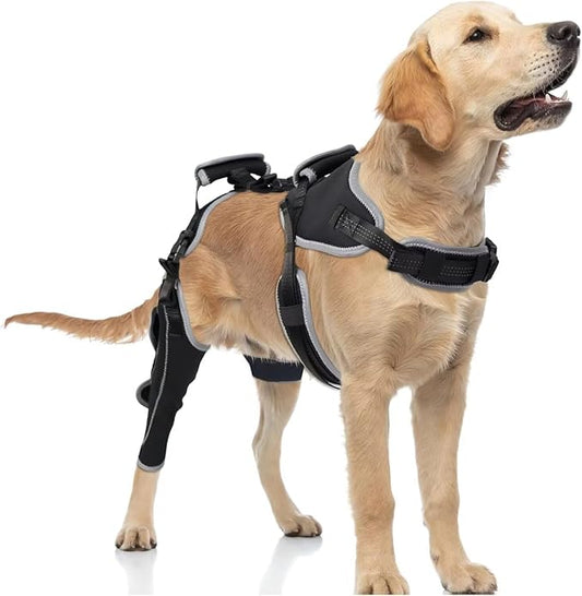 Dog Knee Brace for ACL/CCL Injuries,Torn Ligament,Pain Relief,Joint Warmth,Luxating Patella - Rear Leg Support,Black,Upgraded,Right Legs,(Size:M)