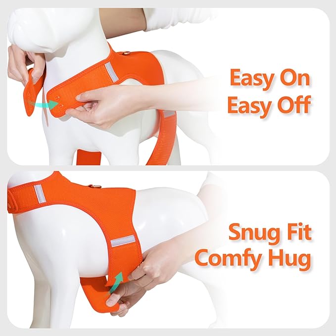 Dog Harness for Puppy – Adjustable Reflective Easy Put On Soft Mesh Vest for Small Dogs with 2 Patches (Orange,XXXS)