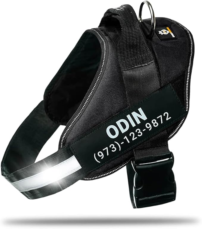 Personalized No-Pull Dog Harness with Name Patch, Adjustable, Reflective, Padded, Heavy Duty Pet Vest to Prevent Tugging, Pulling, or Choking, Training and Walking, Black, L