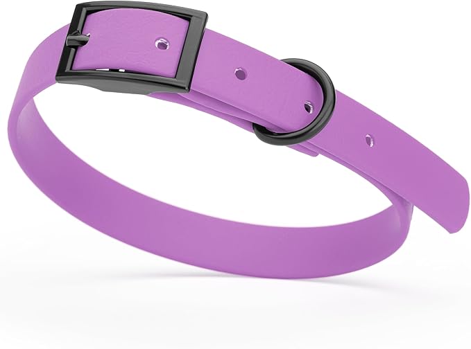 Dogline Biothane Coated Webbing Dog Collar with Black Metal Hardware: Durable Easy-Clean Everyday Collar for Dogs - Comfortable Adjustable Odor-Resistant Pet Collar, W5/8" x L12-15, Amethyst Purple