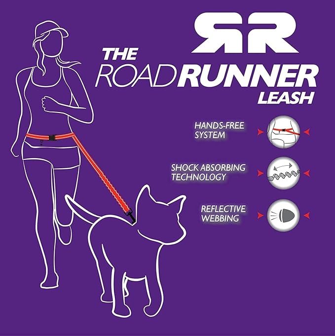 EzyDog Road Runner Hands Free Dog Leash – Waist Leash for Dog Walking, Jogging and Running with Zero Shock Bungee, Reflective Stitching, and Adjustable Waist (Green Camo)