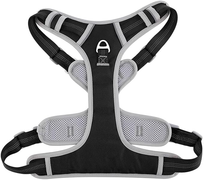 Dog Harness and Leash Set – Adjustable Dog Collar and Vest Harness for Dogs, Durable Pechera para Perros Medianos – Arnes Perro with Leash– S, M, L, XL Dog Harness and Leash Set