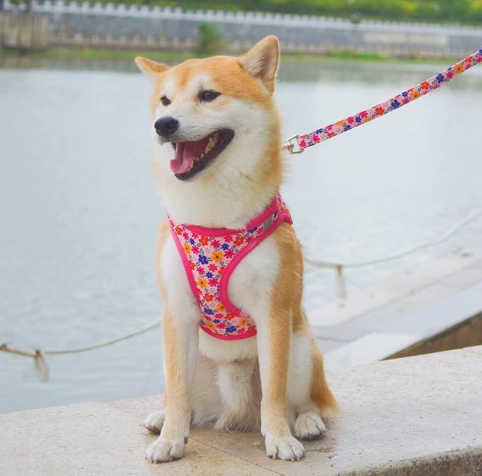 Moonpet Step in Dog Harness Leash Set- All Weather Reflective No-Pull Floral Pattern Padded Mesh Vest Harness for Cats Puppy Extra-Small Small Medium Large Dogs - Romantic Sakura - M