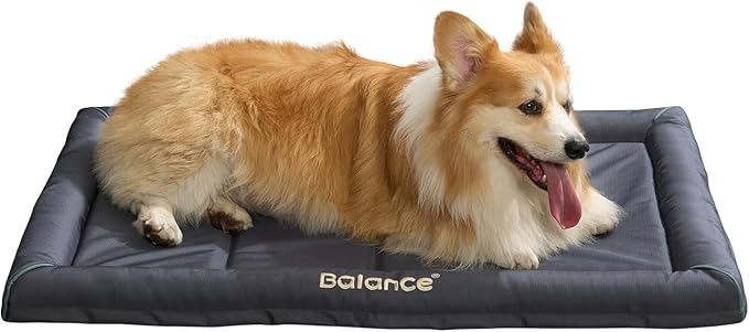 BALANCE Oxford Dog Bed for Extra Large Dogs, Waterproof Dogs Crates Pad Outdoor XL Dog Crate Mat, Wipe Clean & Easy Rinse, 42 inch