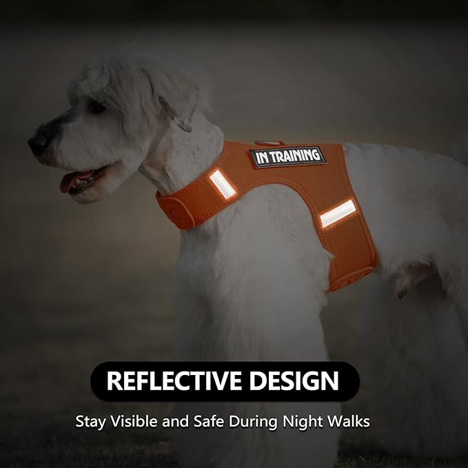 Dog Harness for Puppy – Adjustable Reflective Easy Put On Soft Mesh Vest for Small Dogs with 2 Patches (Orange,L)