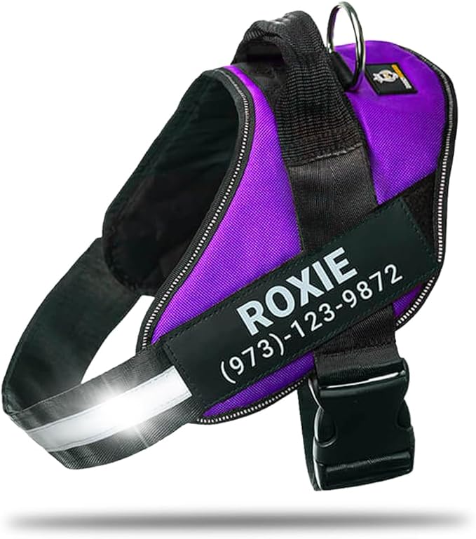 Personalized No-Pull Dog Harness with Name Patch, Adjustable, Reflective, Padded, Heavy Duty Pet Vest to Prevent Tugging, Pulling, or Choking, Training and Walking, Purple, M