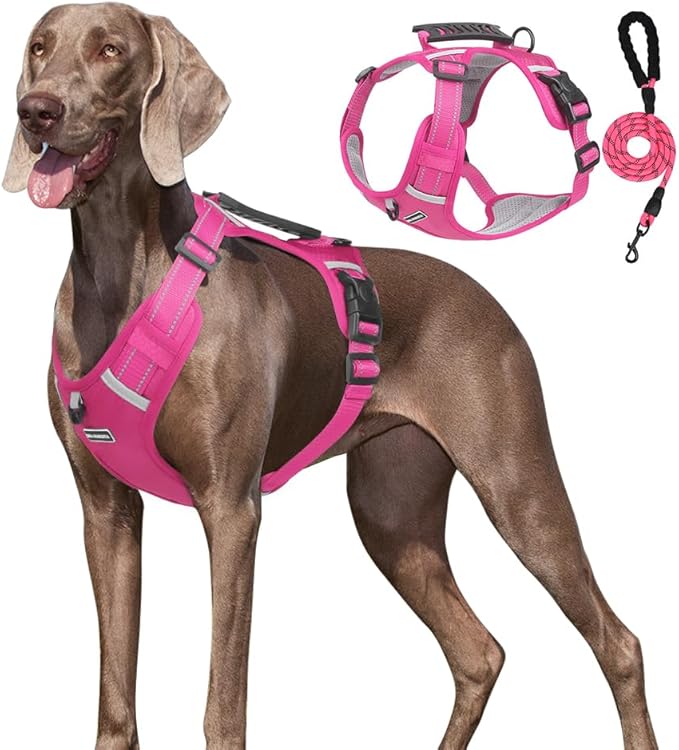 Dog Harness No Pull Adjustable Reflective,for Medium and Large Small Dog with Leash 59.06in (Fuscia, L)
