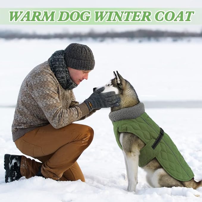 Dog Winter Coats, Fleece Lining Winter Coats for Dogs, Adjustable Windproof Dog Cold Weather Coat, Quick Release Buckle Puppy Jacket for Small Medium Large Dogs, Green S