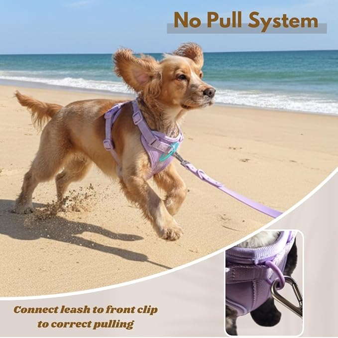 Dog Harness, No-Pull Pet Harness with 3 Leash Clips, Adjustable Soft Padded Dog Vest, Breathable Mesh Cushion for Small Medium Large Dogs (Purple, Medium (Neck:15"-19" Chest 22"-30"))