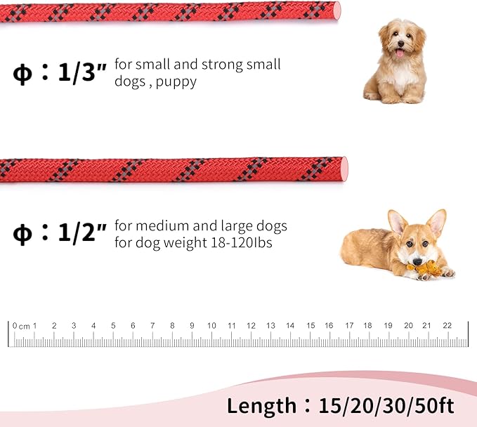 Long Dog Leash for Training 30Ft-Reflective Nylon Rope with Swivel Hook-Recall Agility Lead for Large Small Medium Dogs Outside Walking Hiking-Red