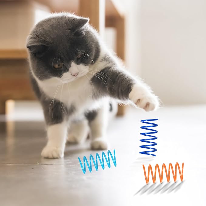 FAXLEVY 100 Pack 10 Colors Cat Spring Toys, Plastic Spiral Spring Cat Toys for Indoor Cats, Colorful Interactive Toy for Kittens, Cat Exercise Toys for Active Play