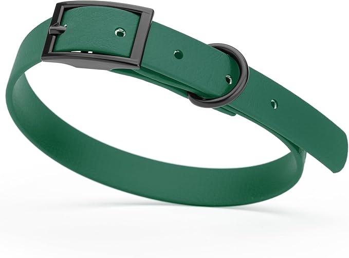 Dogline Biothane Coated Webbing Dog Collar with Black Metal Hardware: Durable Easy-Clean Everyday Collar for Dogs - Comfortable Adjustable Odor-Resistant Pet Collar, W5/8" x L12-15, Hunter Green