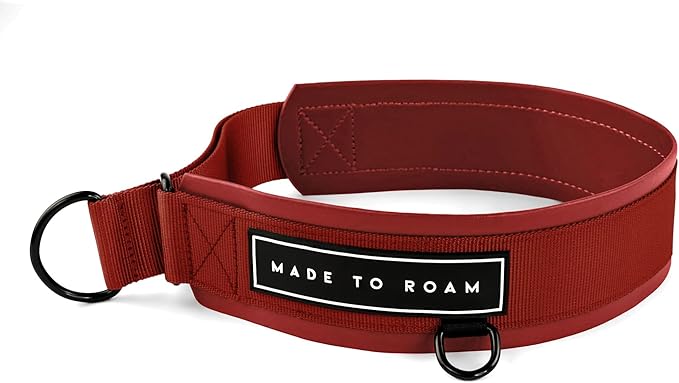 MADE TO ROAM Premium Everyday Dog Collar - Martingale Style No Pull Vegan Leather Collar, Heavy Duty and Lightweight for Small, Medium, Large Dogs (Texas Flair, Size 9)