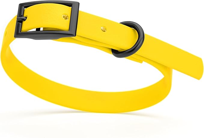 Dogline Biothane Coated Webbing Dog Collar with Black Metal Hardware: Durable Easy-Clean Everyday Collar for Dogs - Comfortable Adjustable Odor-Resistant Pet Collar, W1/2" x L9-12, Lemon Yellow