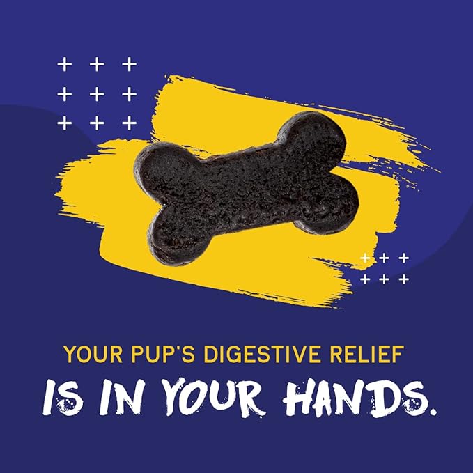 PupGrade Digestive Support Chews for Dogs - Prebiotic and Probiotic Supplement with Enzyme Blend - Upset Stomach, Diarrhea, Bowel, and Immune Support - Pumpkin, Blueberry, Mineral Oil - 180 Soft Chews
