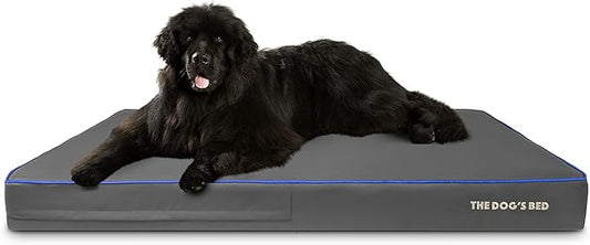 The Dog’s Bed Orthopedic Memory Foam Dog Bed, XXXL Grey/Blue, Pain Relief for Arthritis, Hip & Elbow Dysplasia, Post Surgery, Lameness, Supportive, Calming, Waterproof Washable Cover