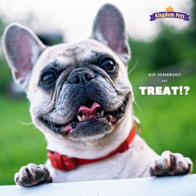 Filler Free Chicken Jerky & Rawhide Wraps, Premium Treats for Dogs, 32-ounce bag