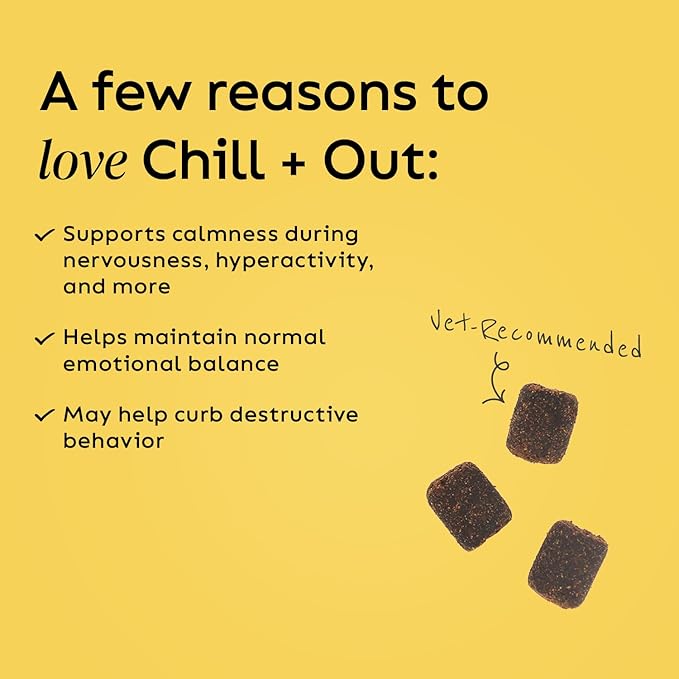 Super Snouts Chill + Out– 30 Soft Chews – Calming Chews for Dogs and Cats Help Maintain Your Pet’s Emotional Balance – Made in The USA