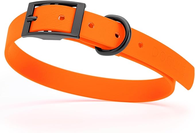 Dogline Biothane Coated Webbing Dog Collar with Black Metal Hardware: Durable Easy-Clean Everyday Collar for Dogs - Comfortable Adjustable Odor-Resistant Pet Collar, W3/4" x L15-18, Hunter Orange