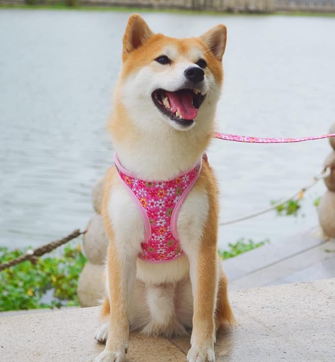 Moonpet Step in Dog Harness Leash Set- All Weather Reflective No-Pull Floral Pattern Padded Mesh Vest Harness for Cats Puppy Extra-Small Small Medium Large Dogs - Pink Flower - M